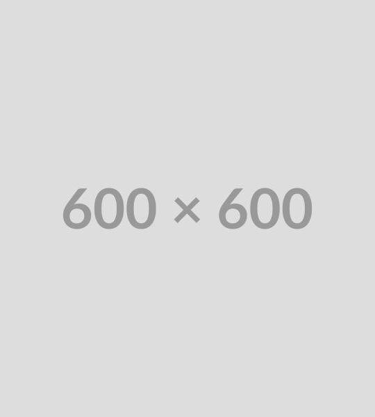 Macbook Pro 2015 13 inch (Digital)